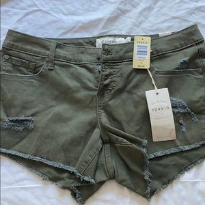 Torrid Shorts